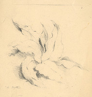 Albert Kindler – Kosatec 