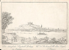 Joseph Schaffer, Peter Schaffer – Pohľad na Bratislavu z juhu 