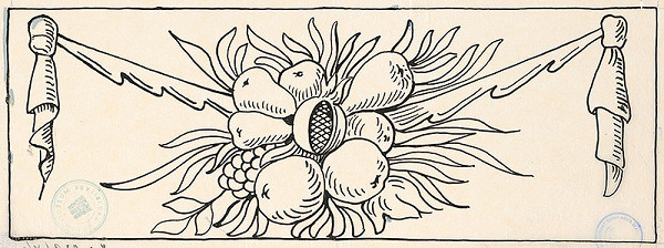 Karol Frech – Náčrt ozdoby z rakvy Fuggerovej v Dóme - ovocný feston 