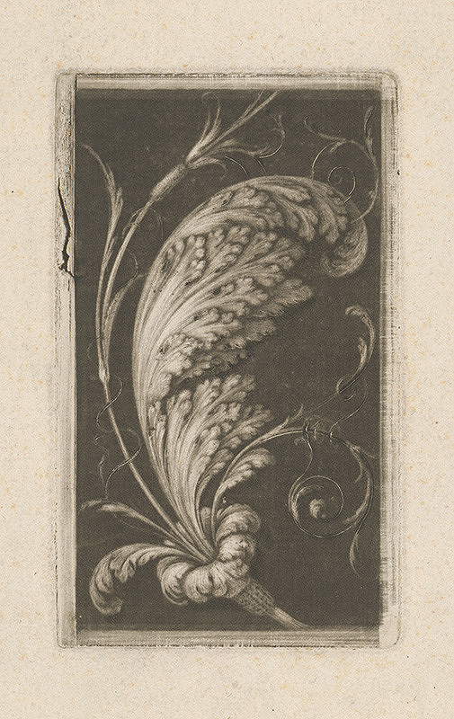 Miterberger – Štylizovaný ornament-pštrosie pero 