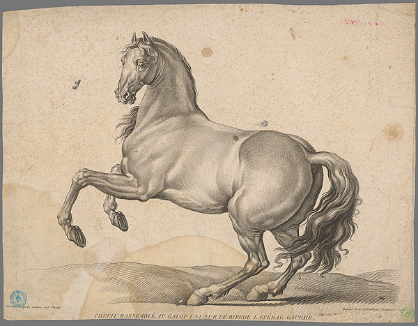 Gilles Antoine Demarteau, Claude-Joseph Vernet – Kôň