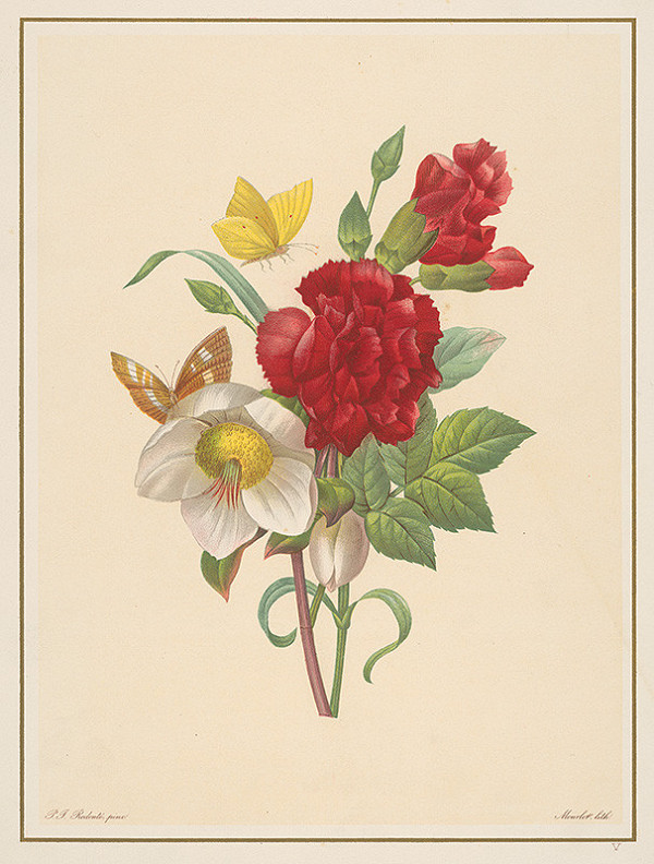 Alphonse Jean Baptista Mourlot, Pierre-Joseph Redouté – Kvety a motýle