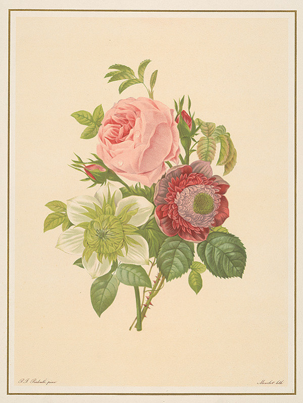 Alphonse Jean Baptista Mourlot, Pierre-Joseph Redouté – Kytica kvetov