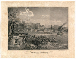 Fritz Werner – Bratislava v 19.storočí-pohľad z juhu 