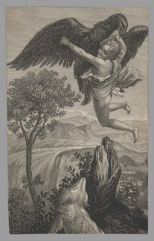 Stredoeurópsky grafik z 19. storočia – Ganymedes