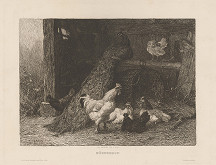 Carl Jutz – Slepačí dvor 