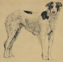 Viktor Olgyai – Iván 