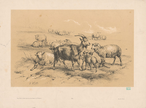 Victor Adam, Alphonse Godard, Bulla & Delarue – Stádo kôz a oviec