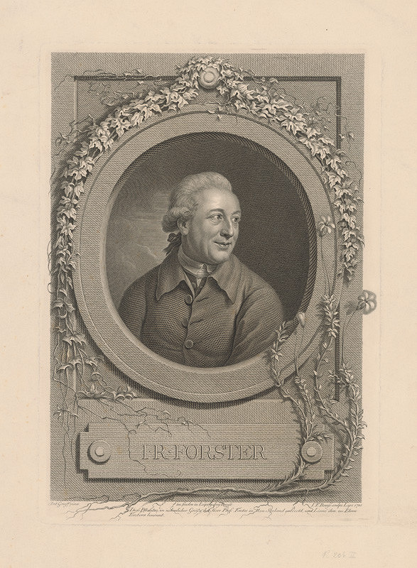 Johann Friedrich Bause, Anton Graff – Portrét I. E. Forstera (Portrét botanika Johanna Reinhorlda Forstera) 