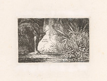 Alexander Sack – Vodné zátišie s travinami (Romantická krajina) 