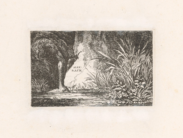 Alexander Sack – Vodné zátišie s travinami (Romantická krajina)