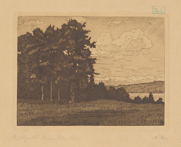 Nemecký grafik – Pohľad na les 
