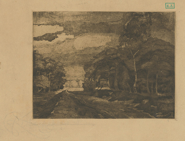 Nemecký grafik – Pohľad na les 