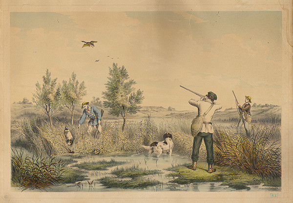 Rakúsky grafik z 2. polovice 19. storočia – Poľovačka na divé kačice