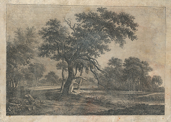 Západoeurópsky grafik – Krajina so starým listnatým stromom pri ceste nad rybníkom