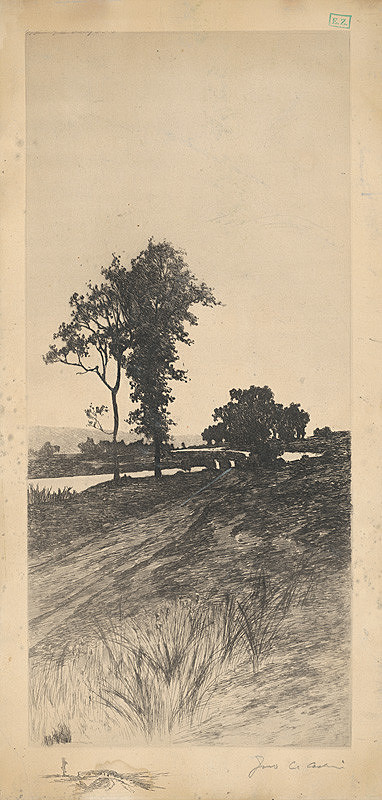 Stredoeurópsky grafik – Stromy pri rieke 