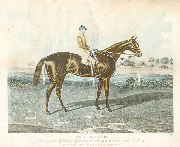 Louis Brall & Sons – Doncaster bežec derby v Epson v r. 1873 (Doncaster, víťaz Derby Stakes v Epsone z roku 1873) 