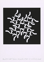 Eduard Ovčáček – Sedmičky - inverzívne 