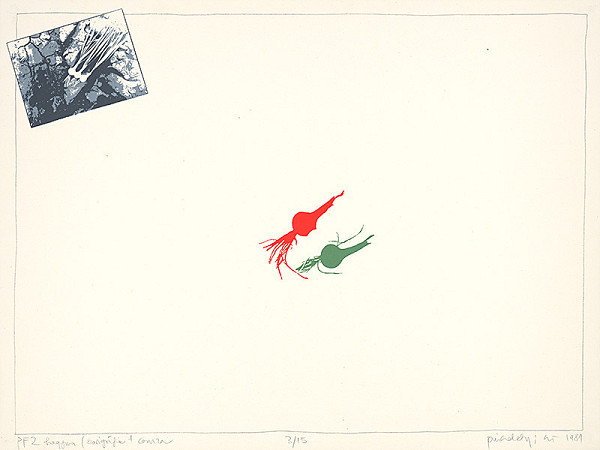 Sándor Pinczehelyi – ČBZ cibuľa 