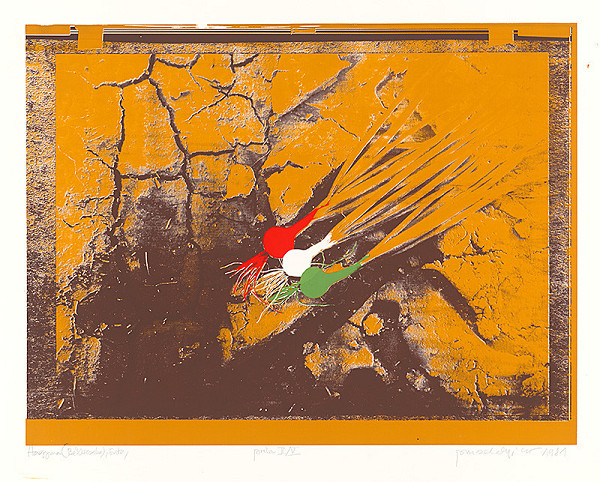 Sándor Pinczehelyi – Cibuľa (Békéscsaba) 