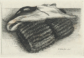 Václav Hollar – Rukávnik, šatka a maska 