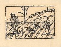 Profesionálny rezač štočkov, Hans Wolff Glaser, Wolfgang Strauch, Hans Weigel – Labuť 