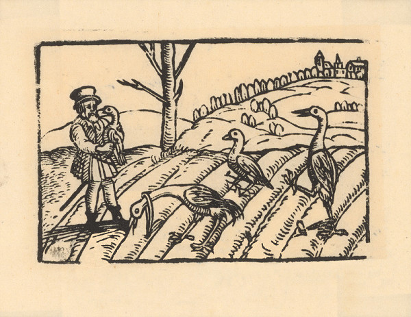 Profesionálny rezač štočkov, Hans Wolff Glaser, Wolfgang Strauch, Hans Weigel – Labuť 