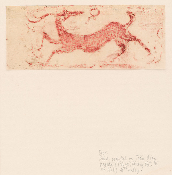 thi My Tran – Cválajúci jeleň 