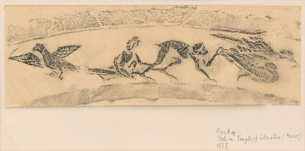 thi My Tran – Opice a vtáky 