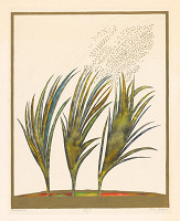 Viera Gergeľová – Jar 