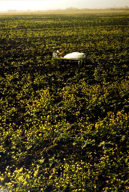 Imre Bukta – Pobyt v repke olejnej 