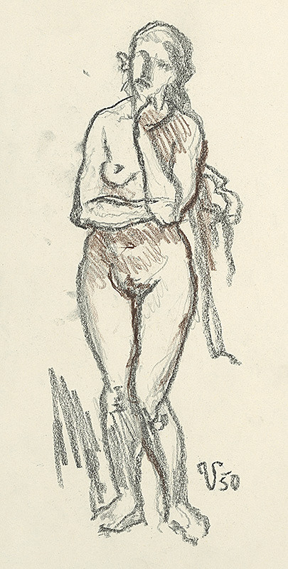 Jaroslav Vodrážka – Zamyslená 