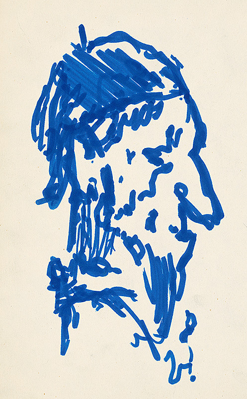 Jaroslav Vodrážka – Portrét bradatého muža 