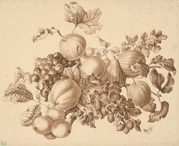 Veronszki – Zátišie s plodmi ovocia 