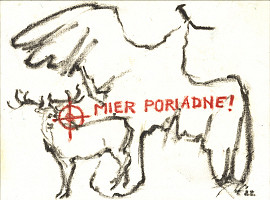 Nicole Koleková – Mier poriadne 