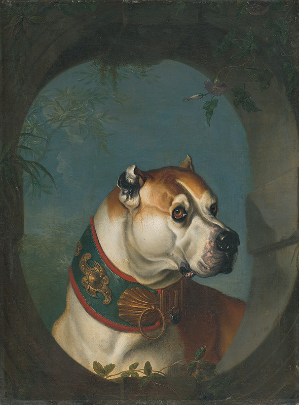 Anglický maliar z 18. storočia – Portrét psa