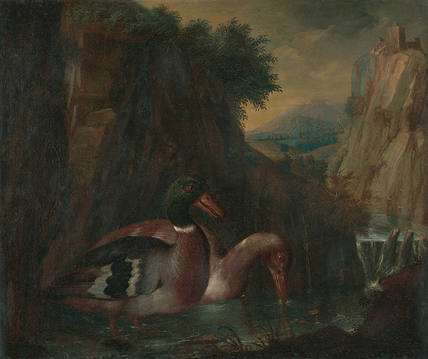 Nizozemský autor zo 17. storočia – Kačice v potoku 