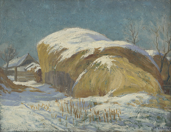 Ján Thain – Novozámocké humno 