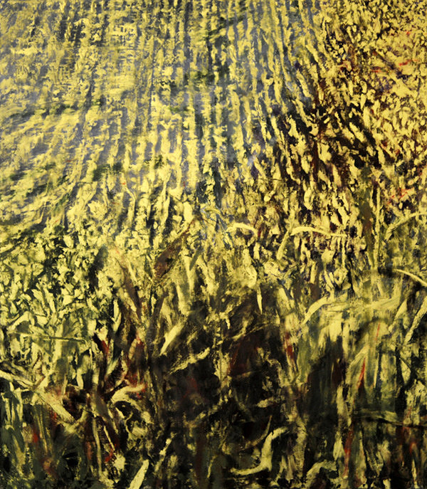 Rastislav Podoba – Agrárny pokoj 