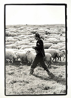 Pavol Breier – Revišné 