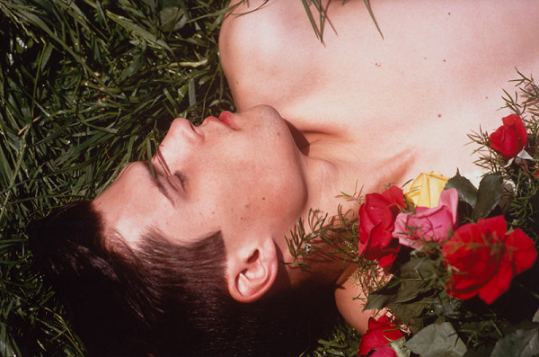 Robert Vano – Chlapci a ruže