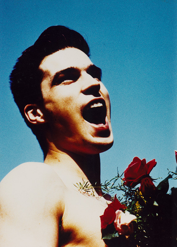 Robert Vano – Chlapci a ruže 