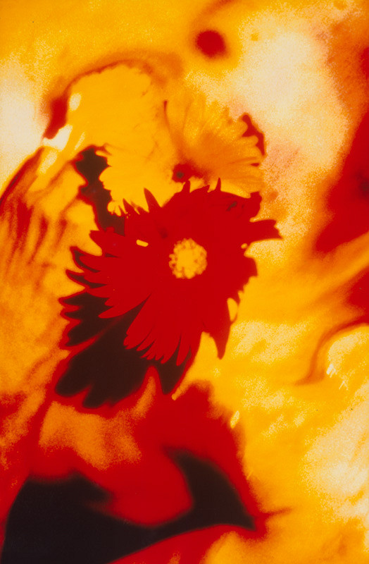 Robert Vano – Bez názvu 