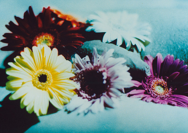 Robert Vano – Bez názvu 