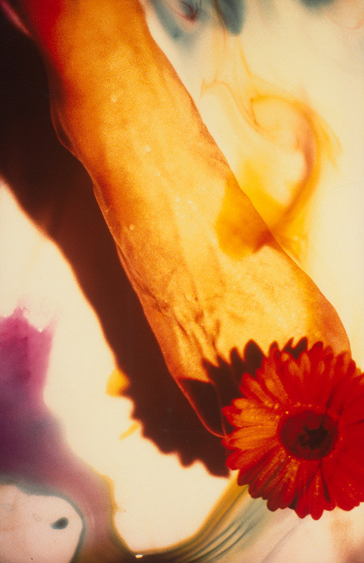 Robert Vano – Bez názvu 