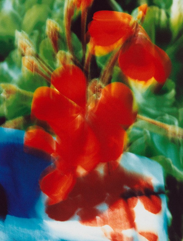 Robert Vano – Bez názvu 