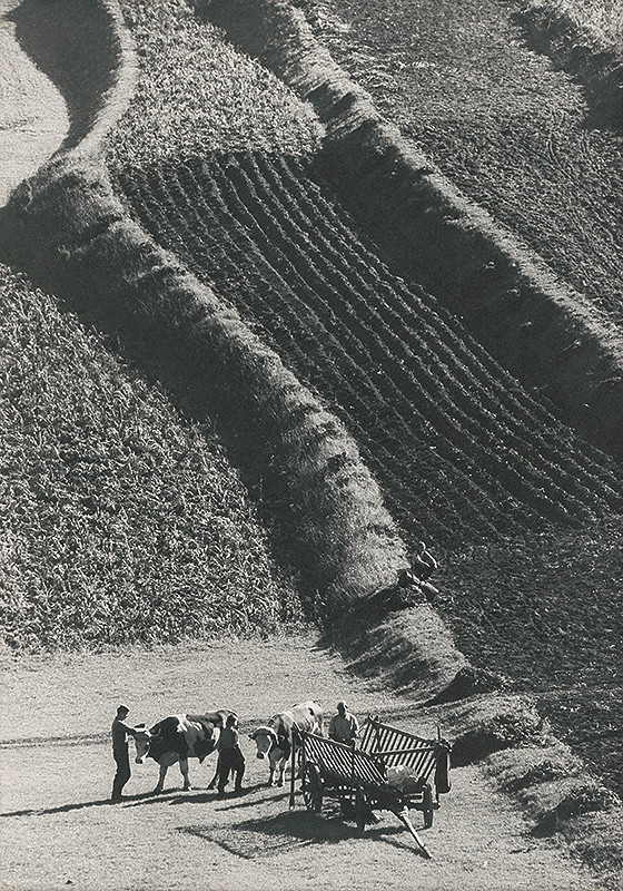 Martin Martinček – Po oraní 