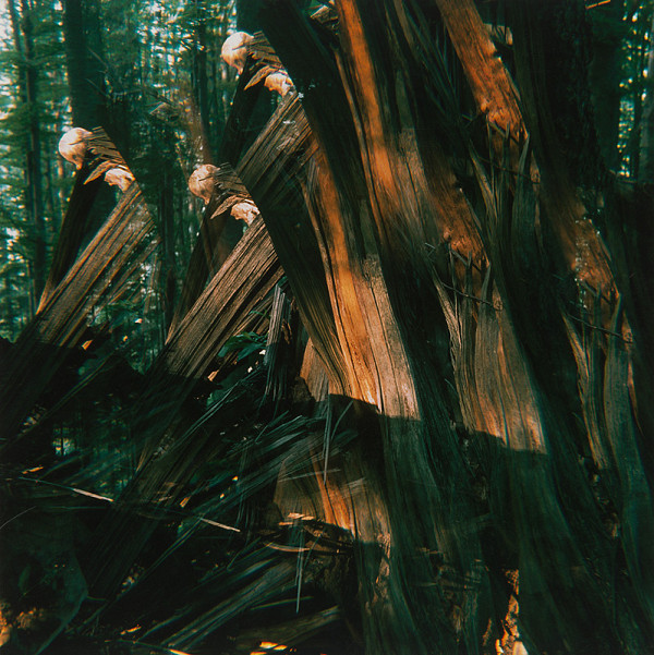 Martin Martinček – Hora, cyklus farebných fotografií, 11 ks 