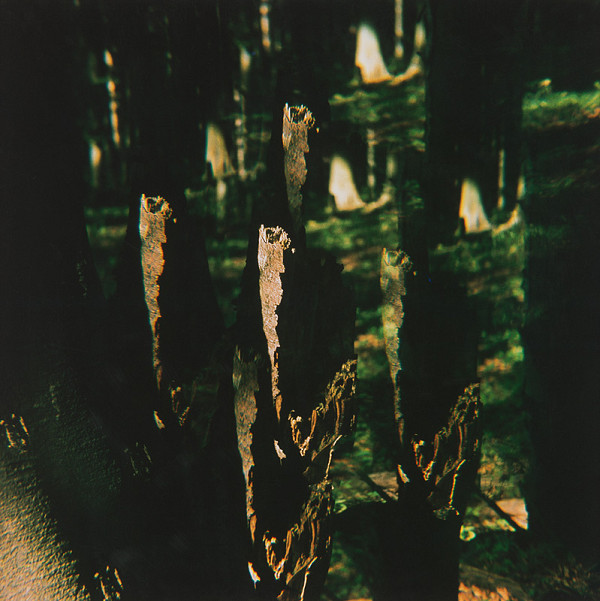 Martin Martinček – Hora, cyklus farebných fotografií, 11 ks 