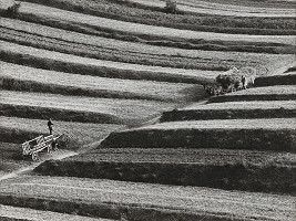 Martin Martinček – Liptov cyklus čiernobielych fotografií 15ks 